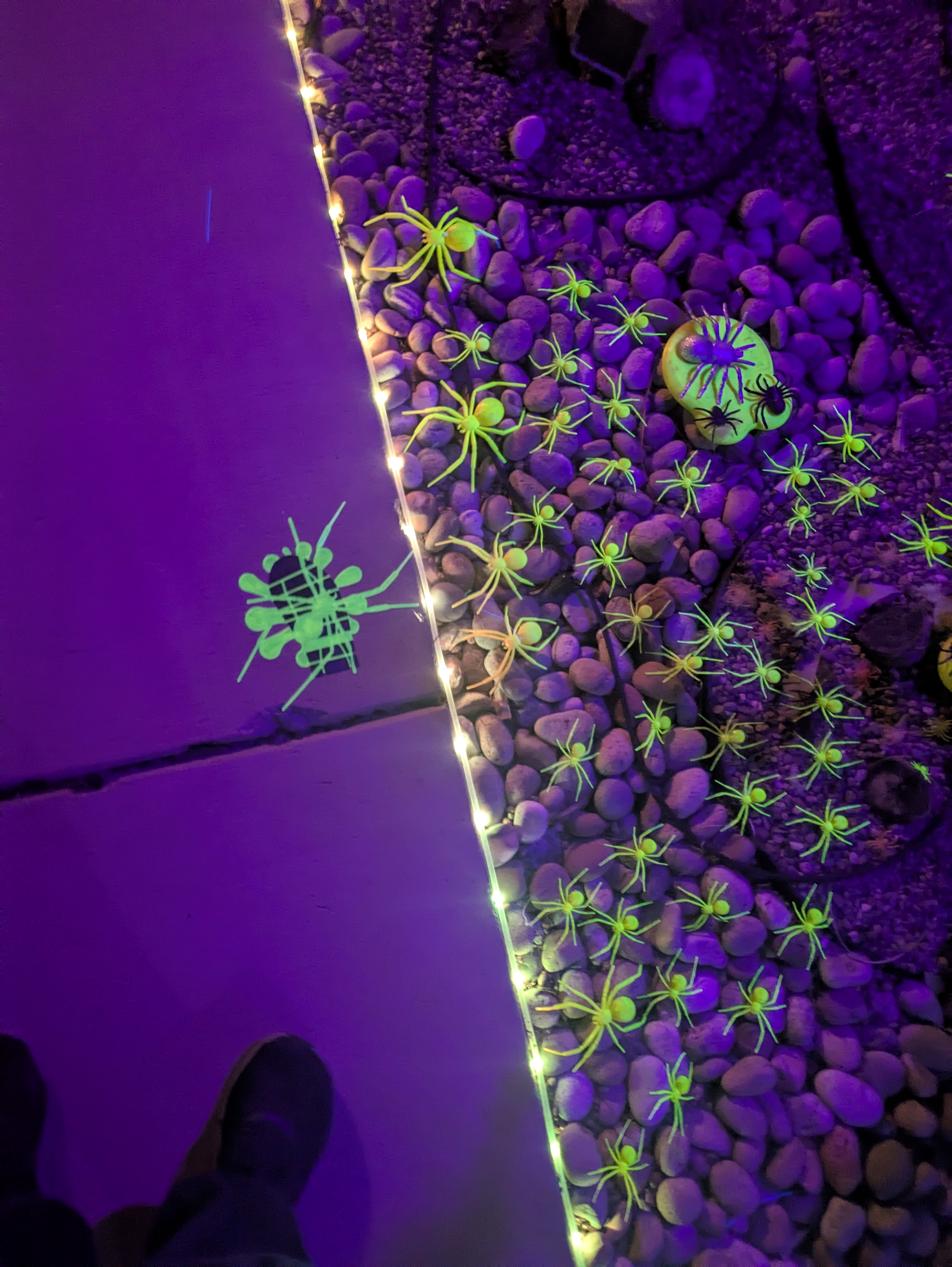 Squished Spiders — miniatura 3