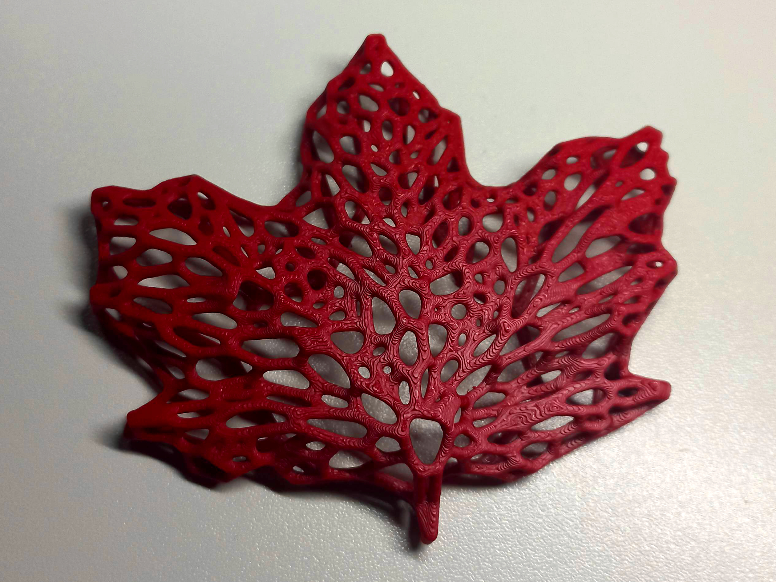 Maple Leaf Voronoi — miniatura 2
