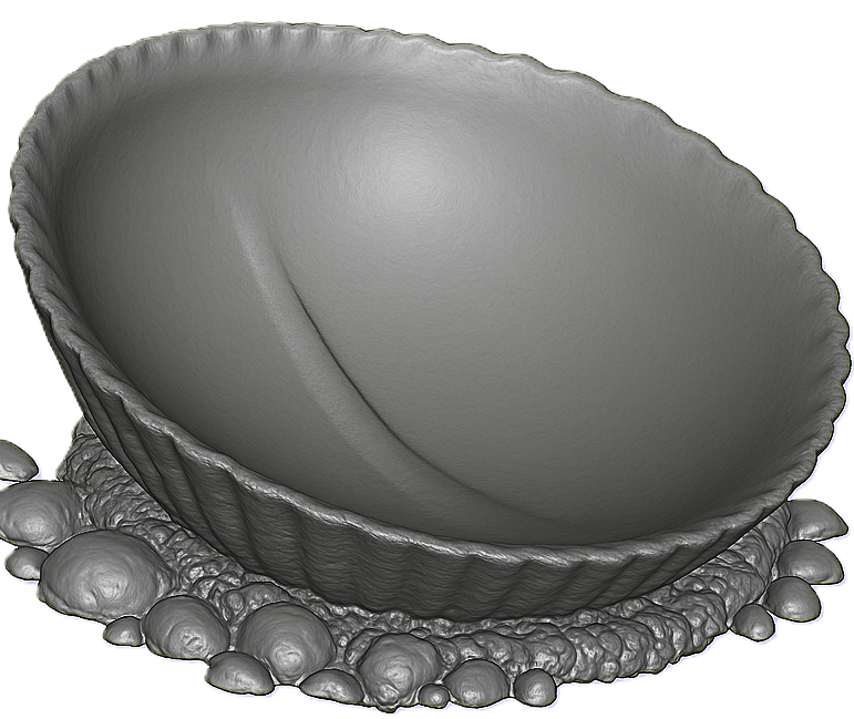clam
