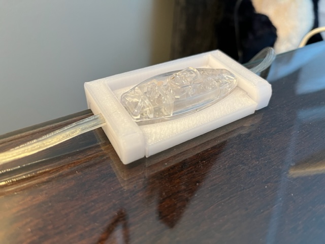 Lamp switch holder