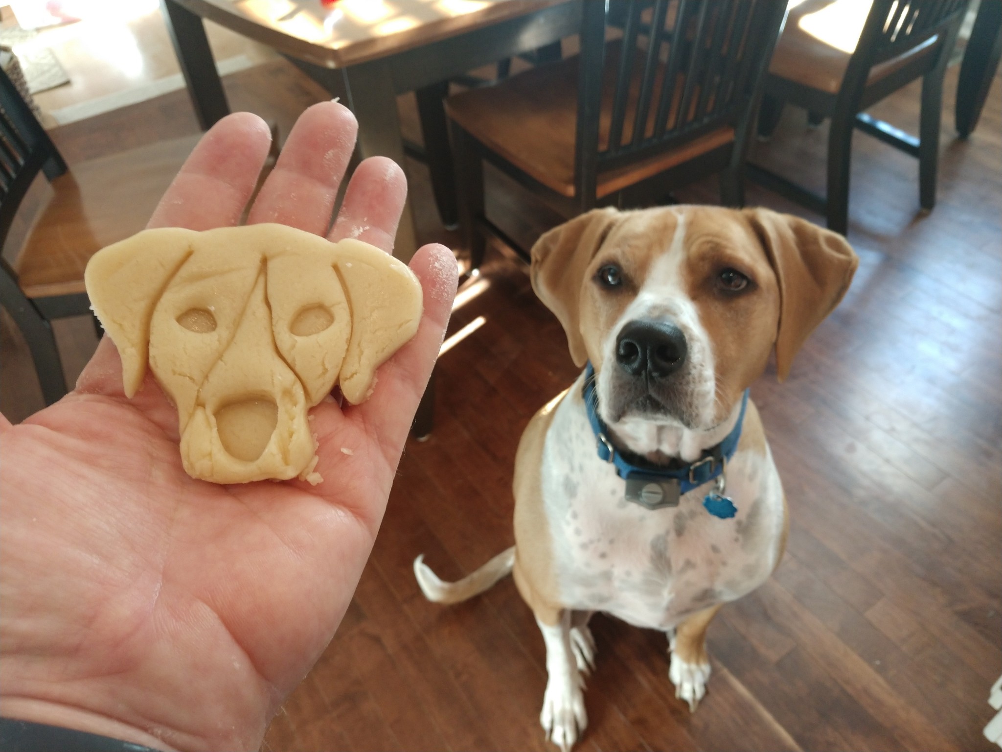 Dog Cookie Cutter