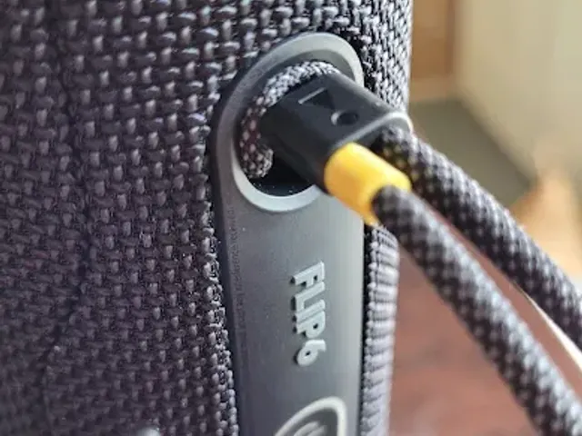 JBL Flip 6 Marker