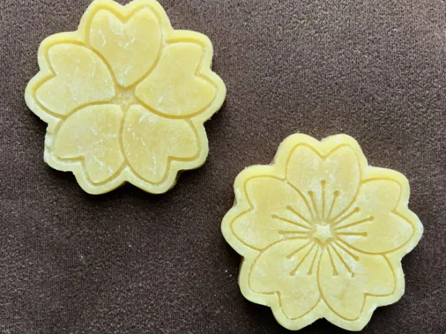 heart and cherry blossoms cookie cutter