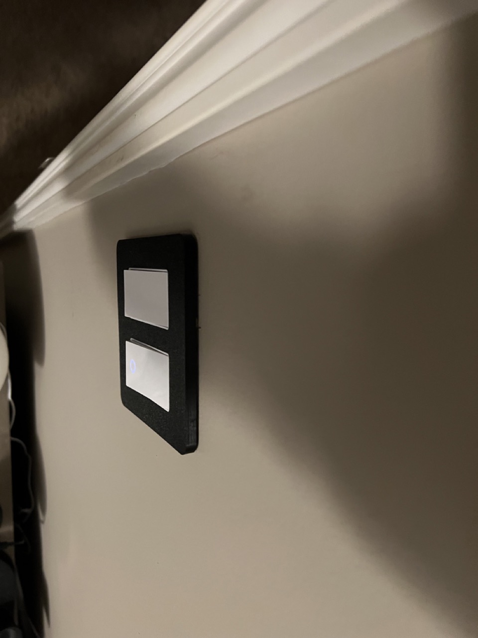 Kasa 2gang smart switch wall plate by Swope44 Download free STL