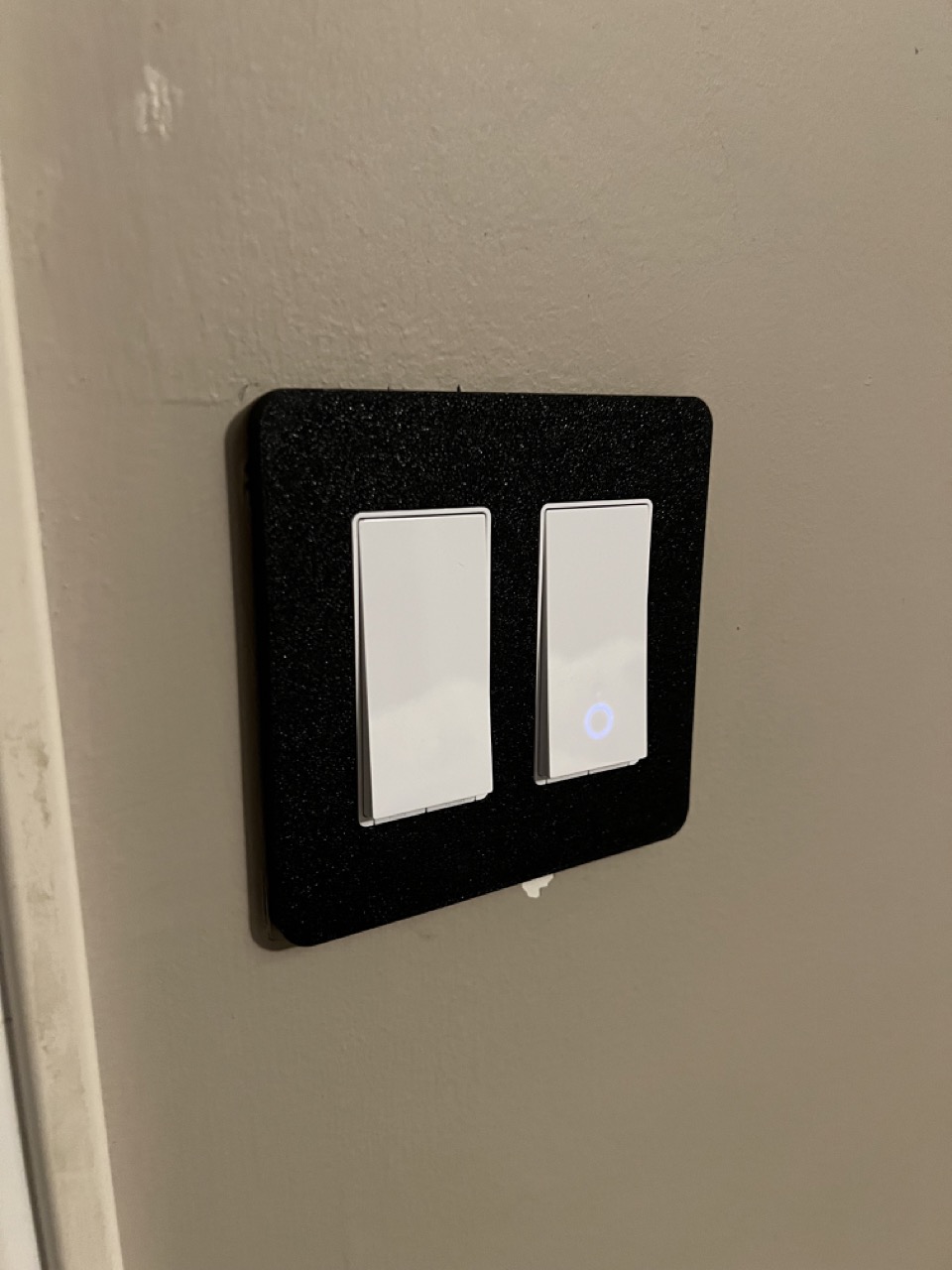 Kasa 2gang smart switch wall plate by Swope44 Download free STL