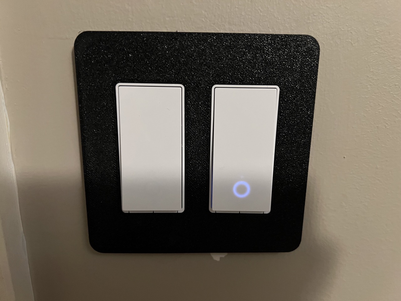 Kasa 2gang smart switch wall plate by Swope44 Download free STL