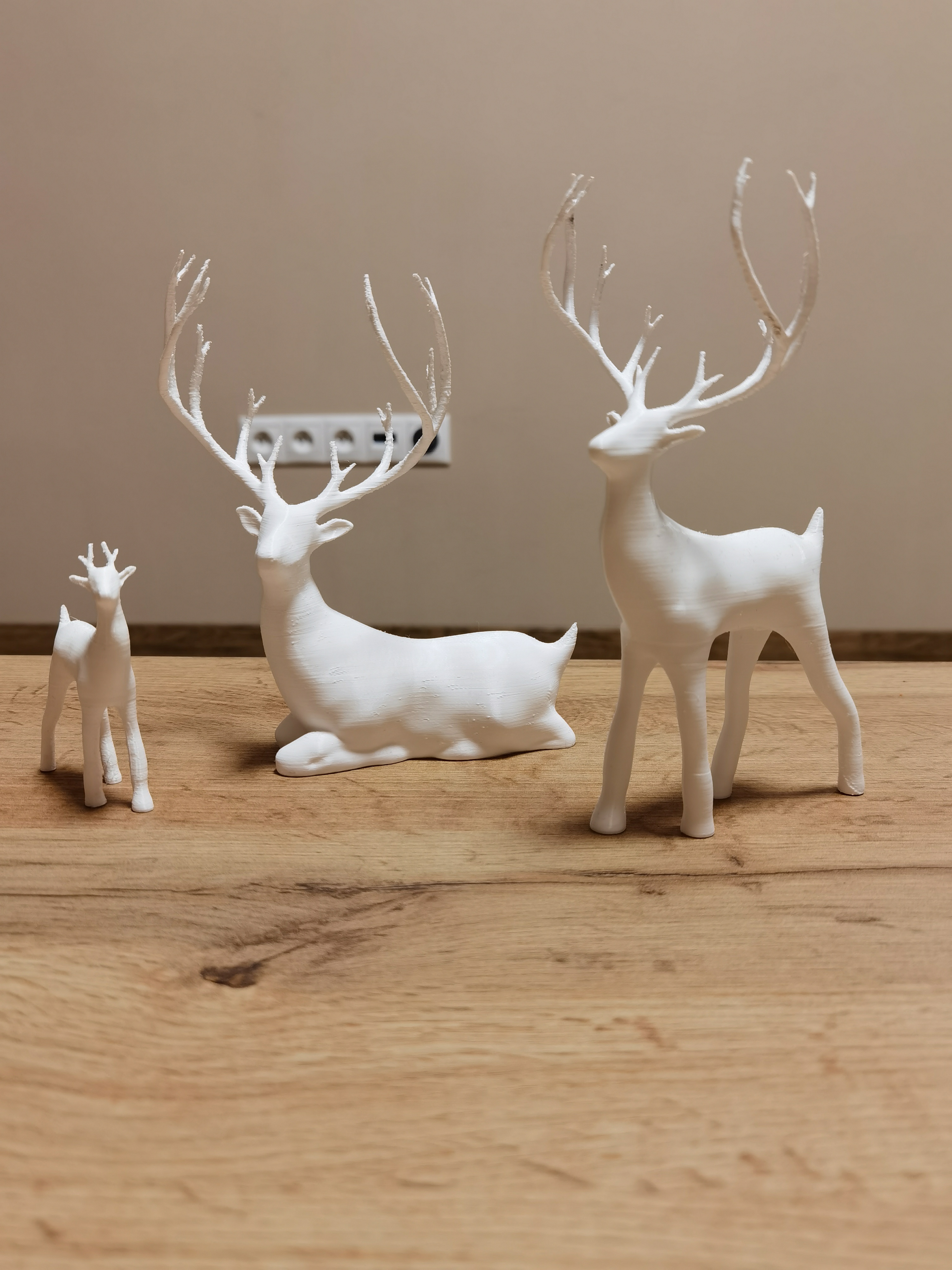 Young deer