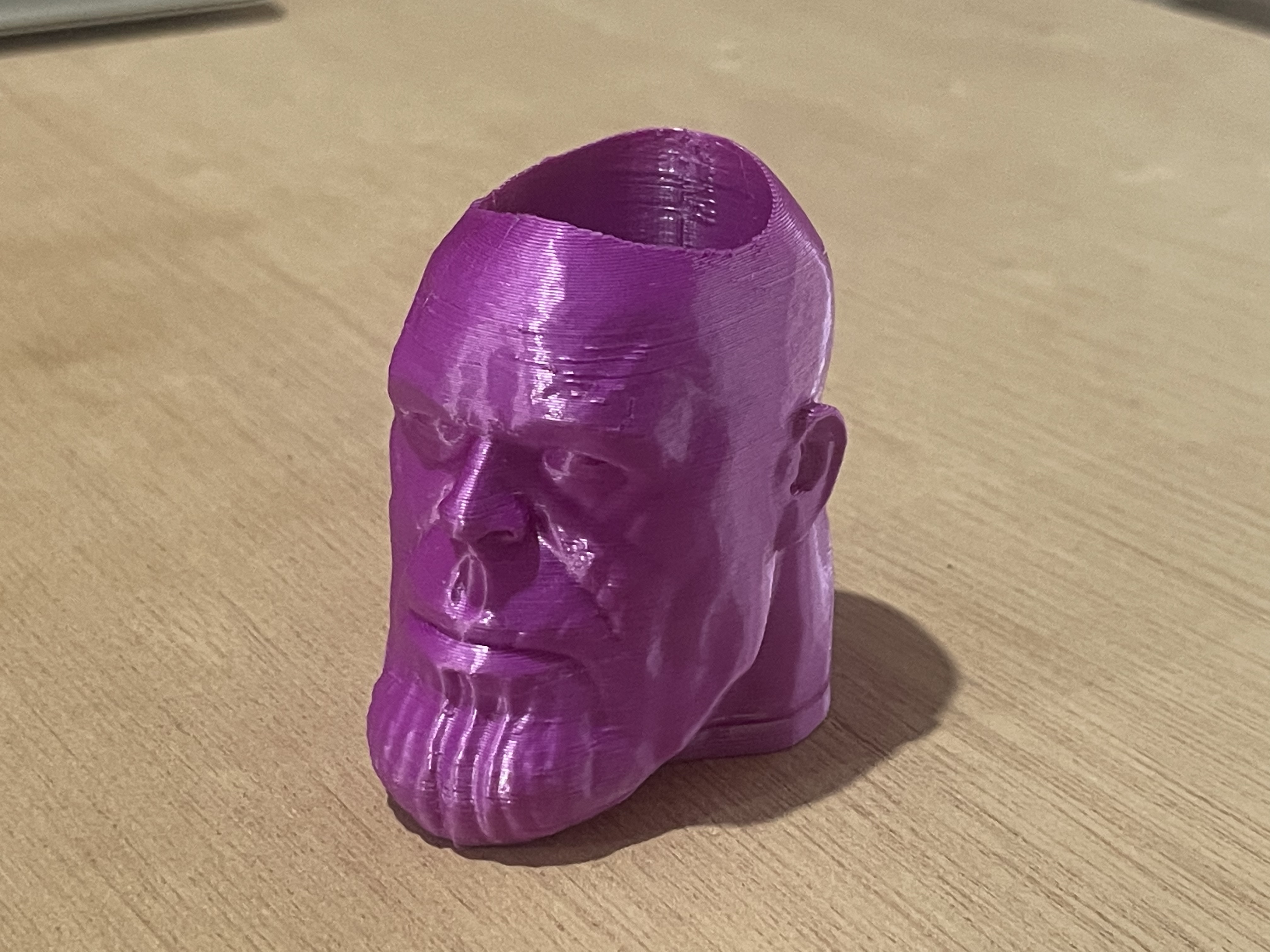 Thanos Head Pot Plant