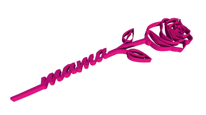 Rosa día de la madre
