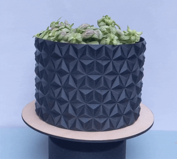Retro Planter - Vase Mode