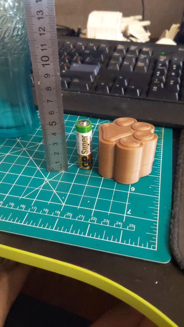 Cat Paw Cartridge box by Dante42 Download free STL model