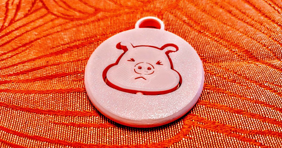 Pig Lucky Charm Coin Fidget for New Years Eve by 3DHippo Download