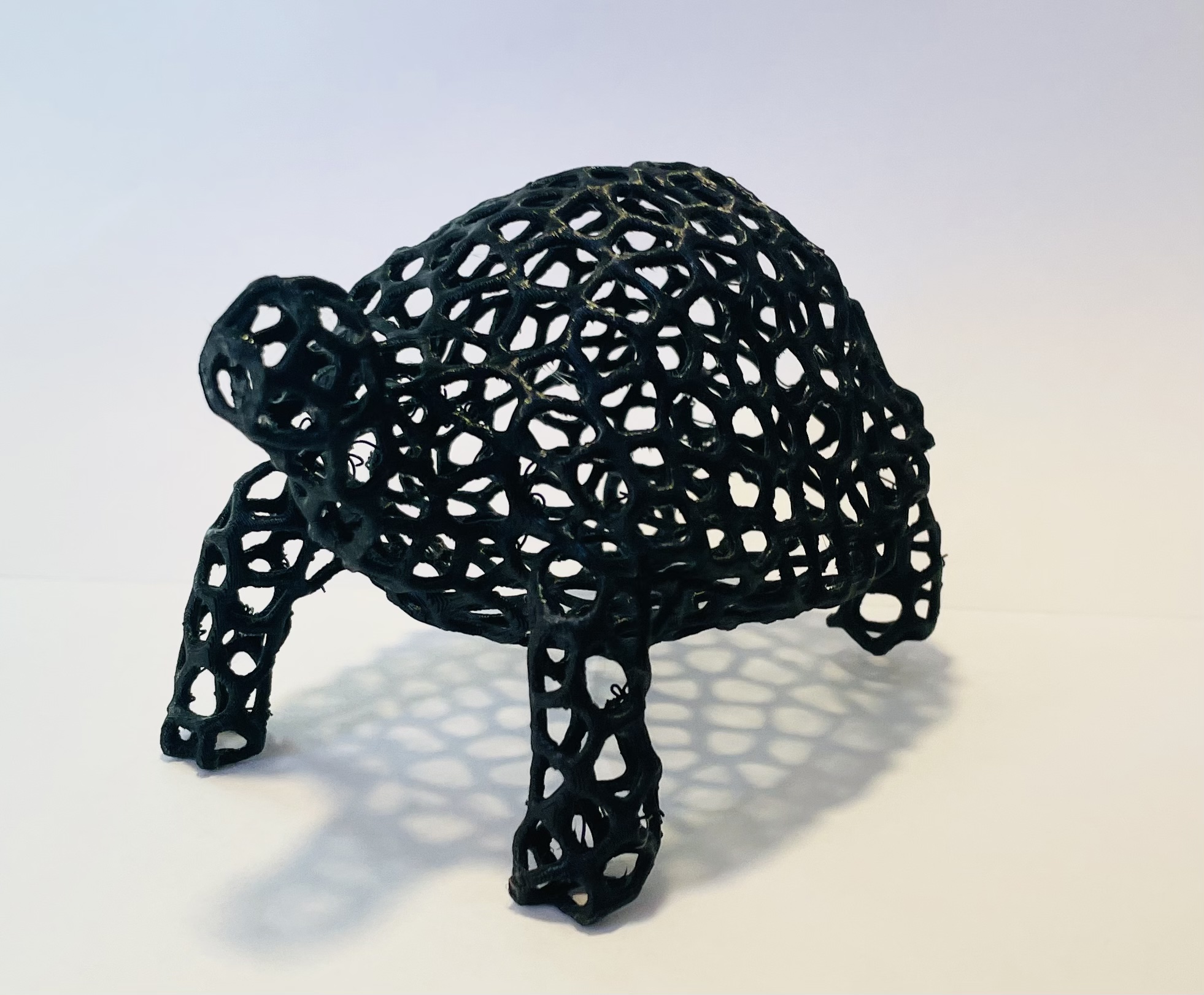 Tortoise Voronoi