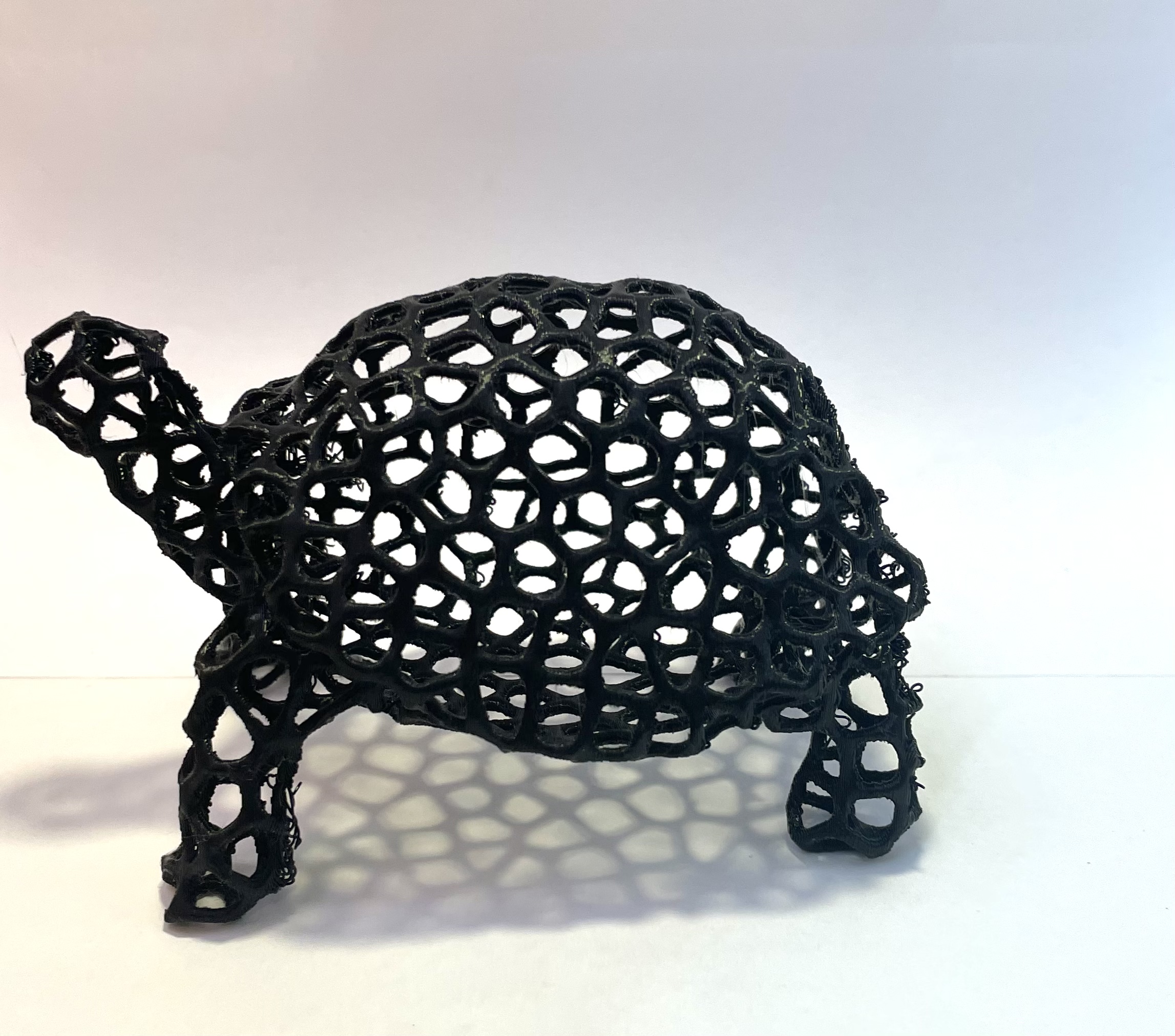 Tortoise Voronoi — miniatura 3