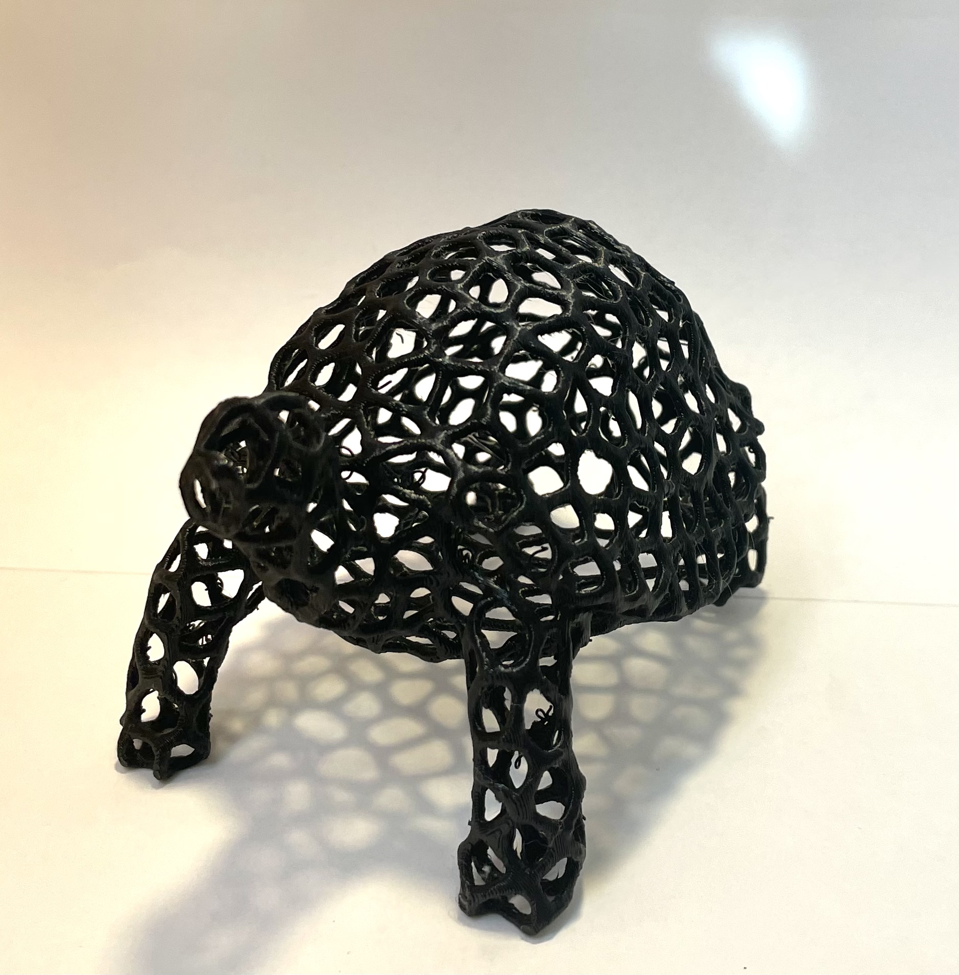 Tortoise Voronoi — miniatura 2