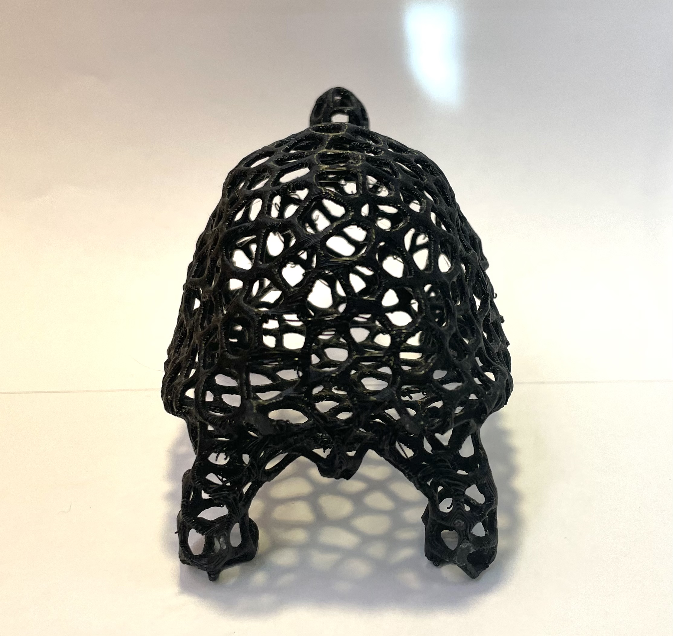 Tortoise Voronoi — miniatura 4