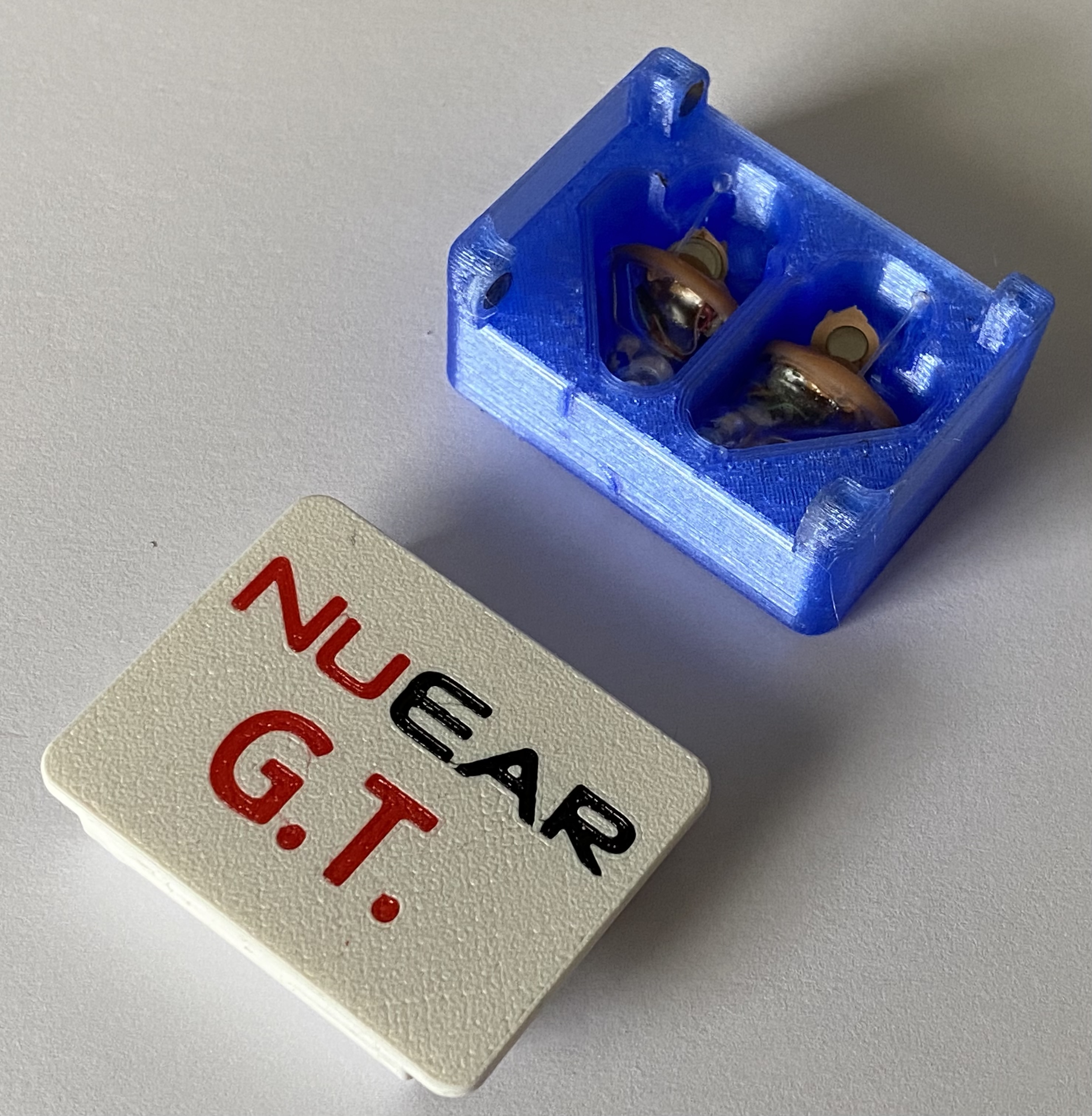 Hearing Aid Case (NuEar) by Tritschi Download free STL model