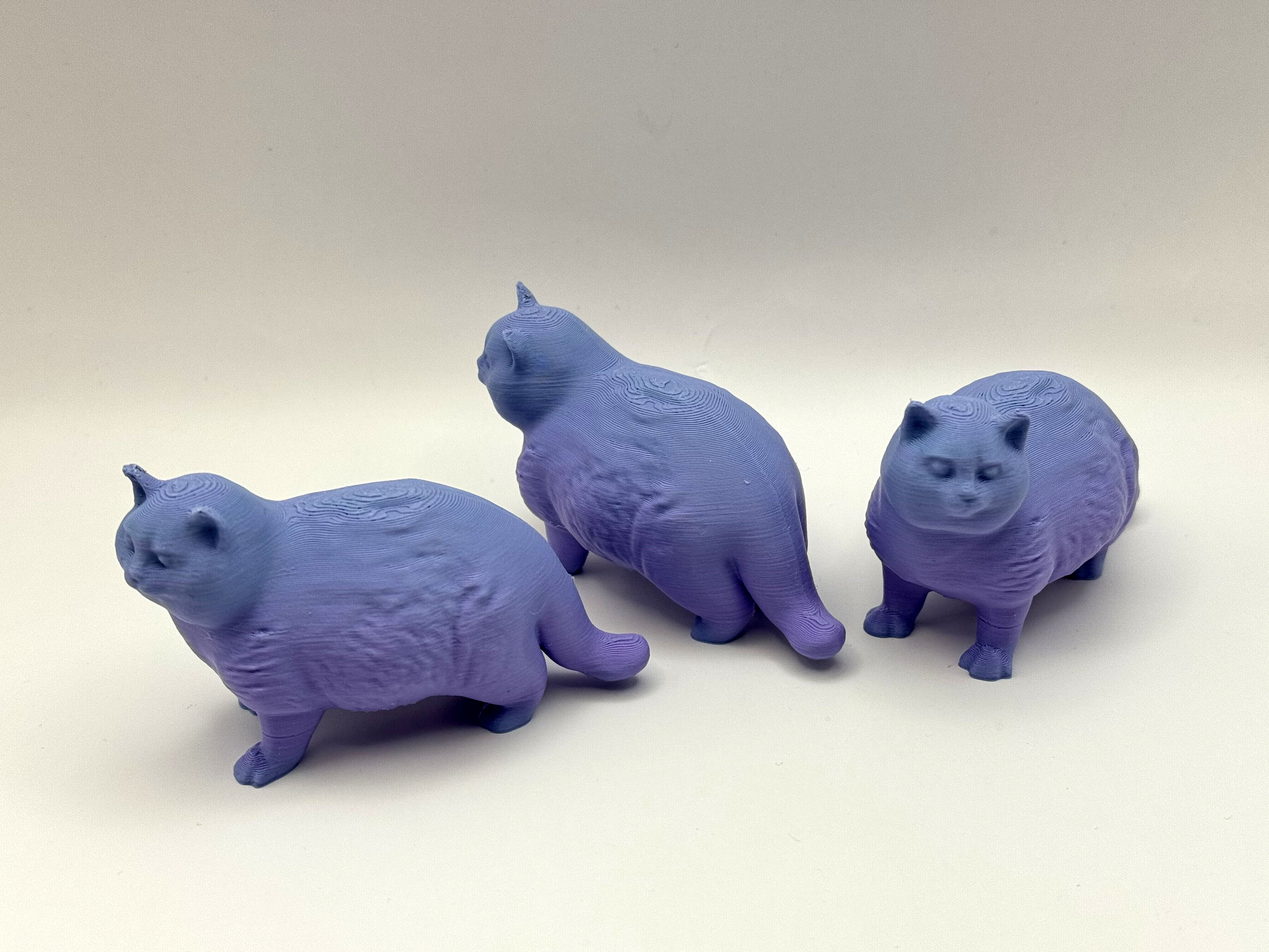 Chonky Kitty — miniatura 3