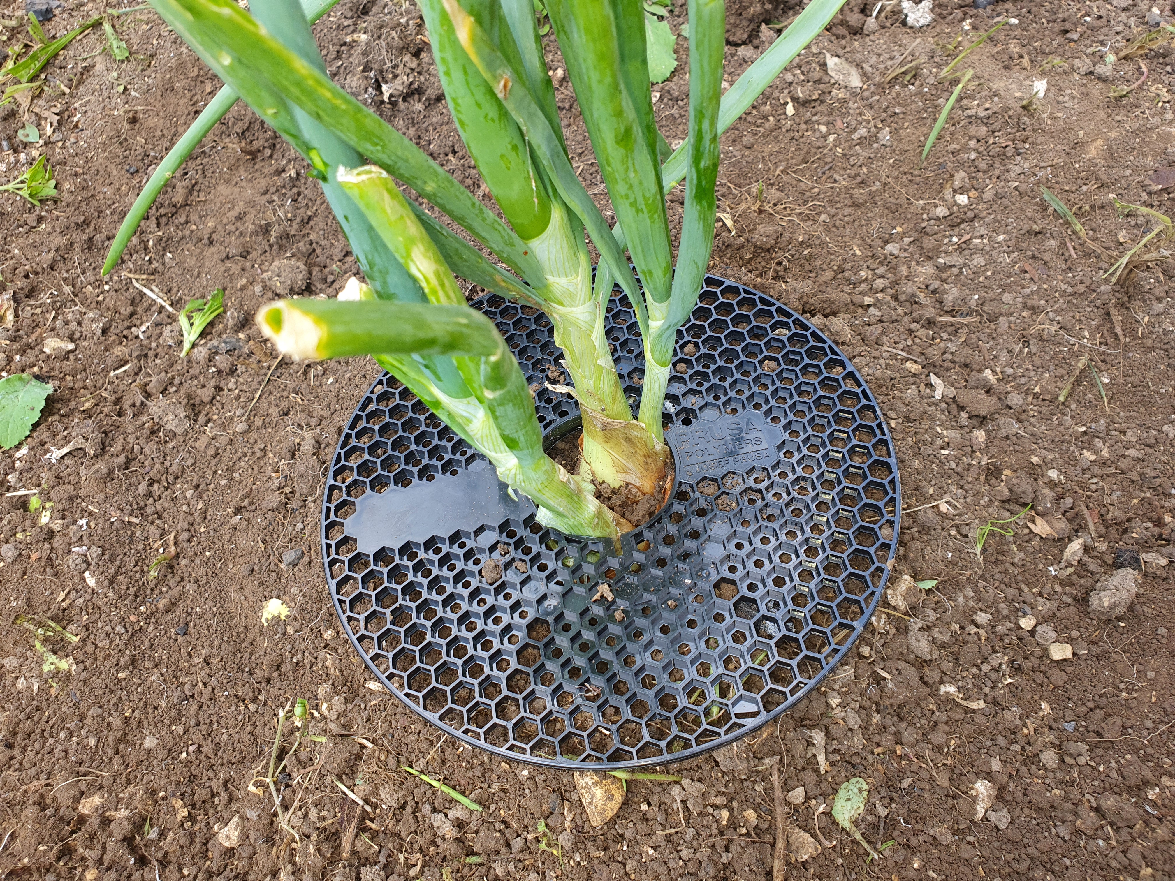 PrusaPlant