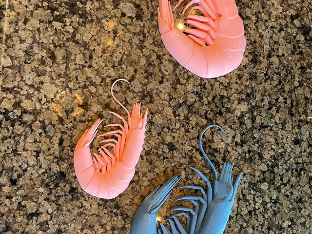 Shrimp