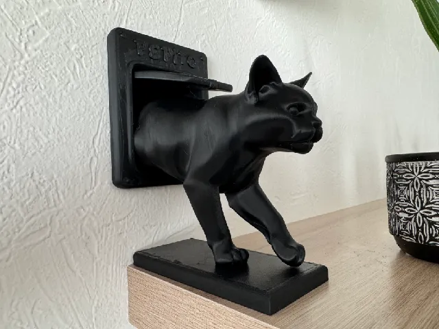 Pepito the cat is back home