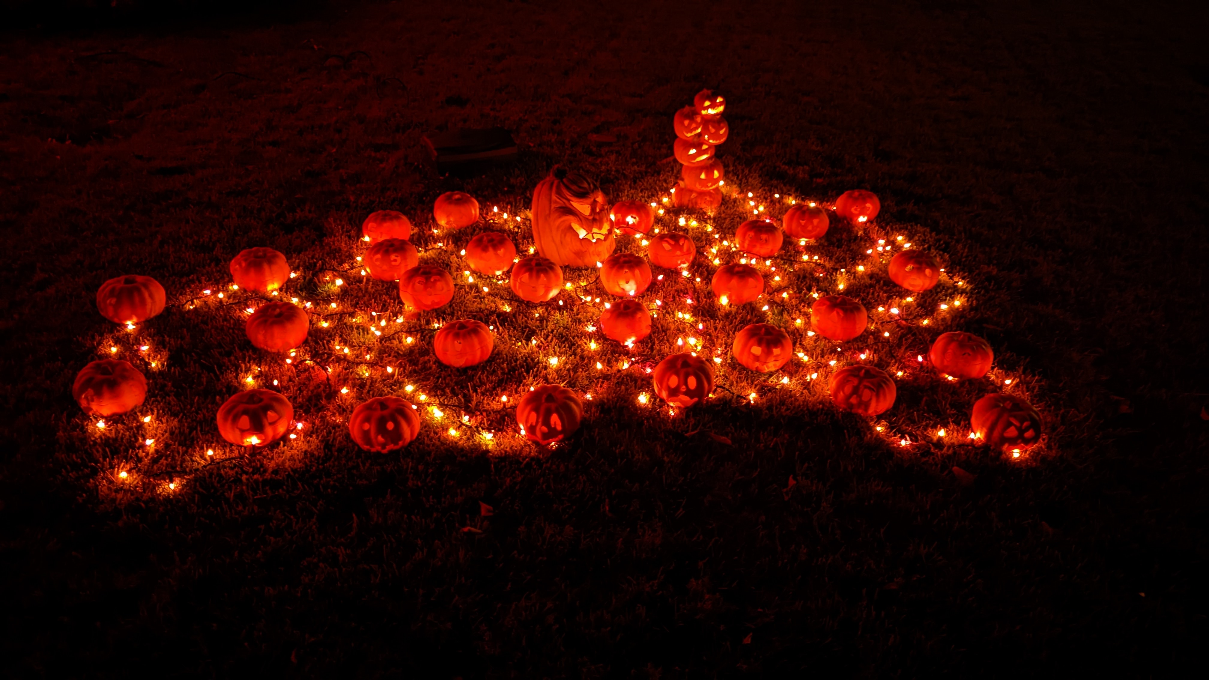 Halloween Pumpkin Patch by SireInsectus Download free STL model