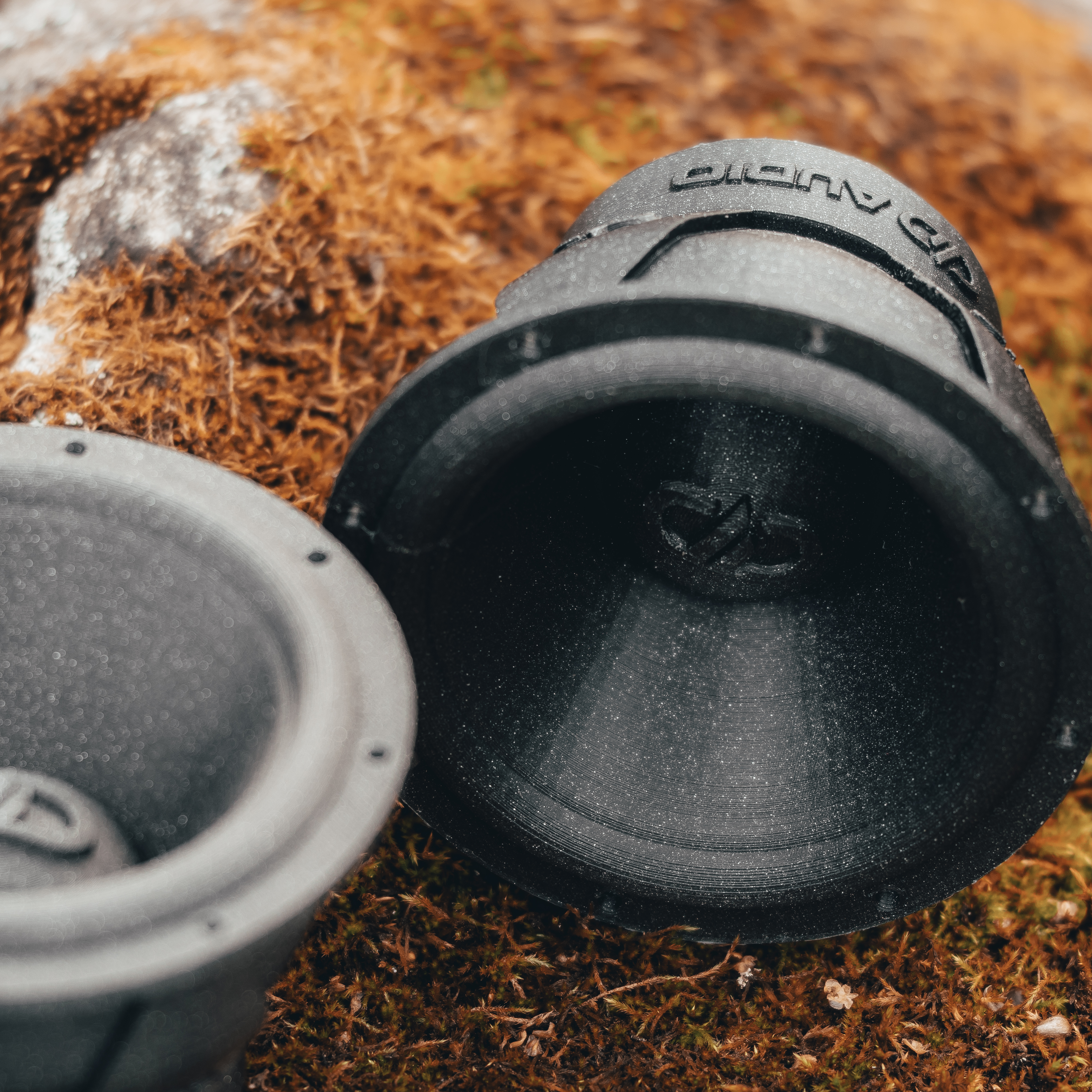 Speaker model
