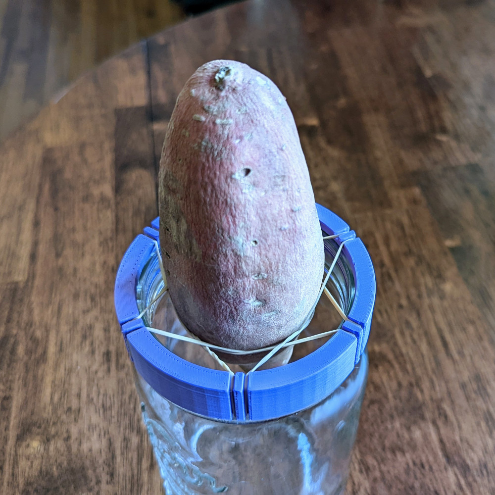Mason Jar Sweet Potato Sprouter