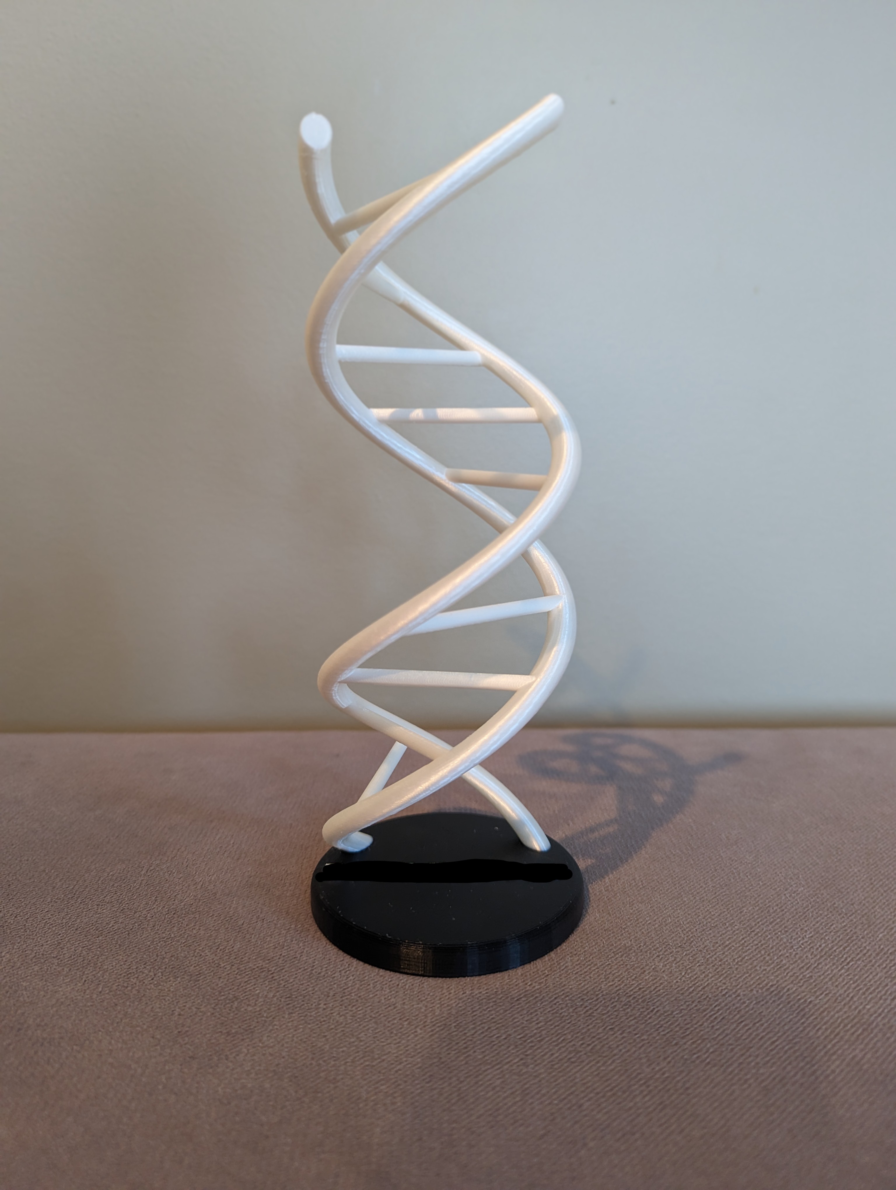 DNA Double Helix Display