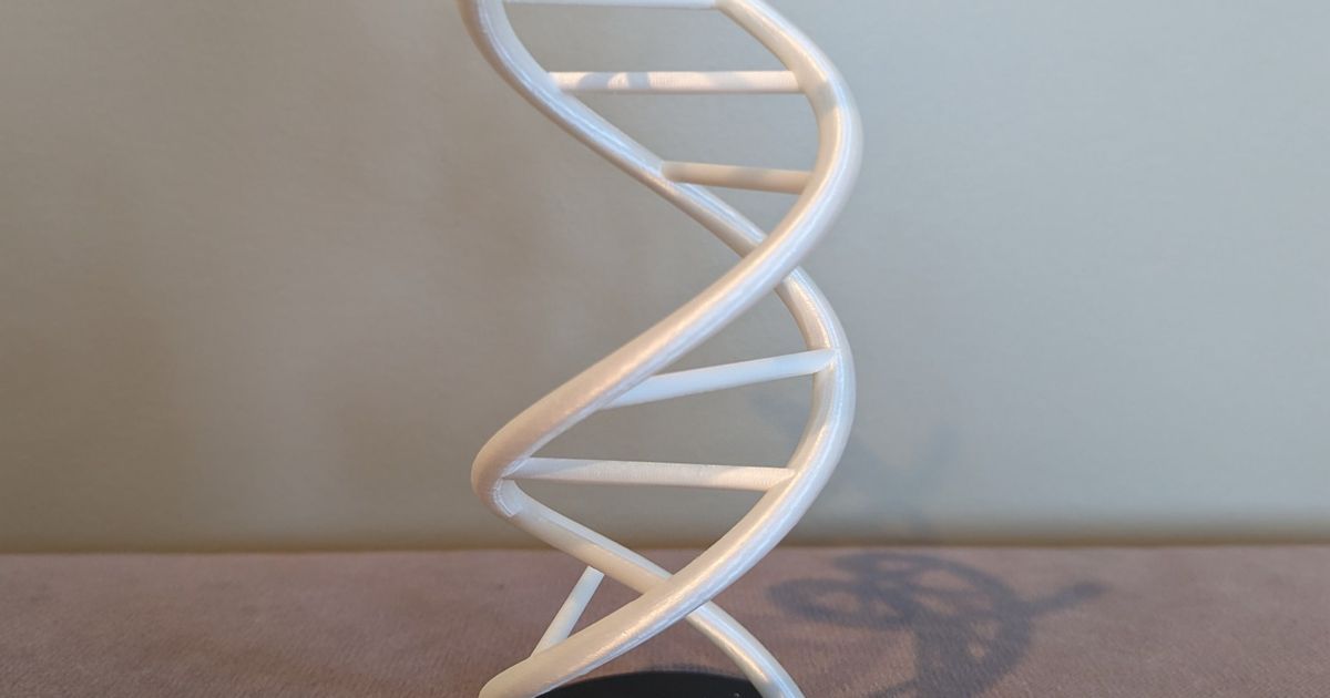 Dna Double Helix Display By Matt Thibs Download Free Stl Model Printables Com