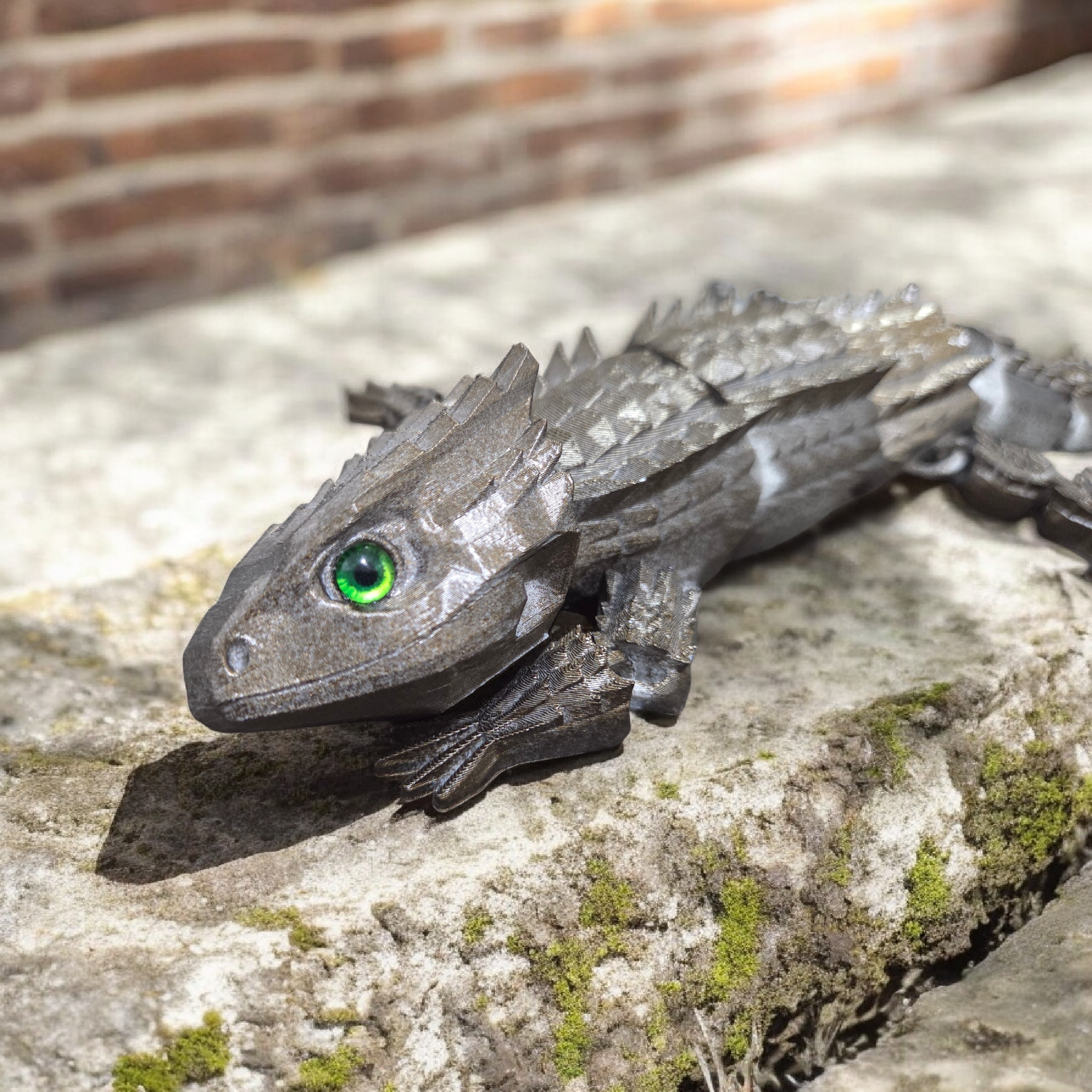 Red-Eyed Crocodile Skink - 6mm glass eye compatible