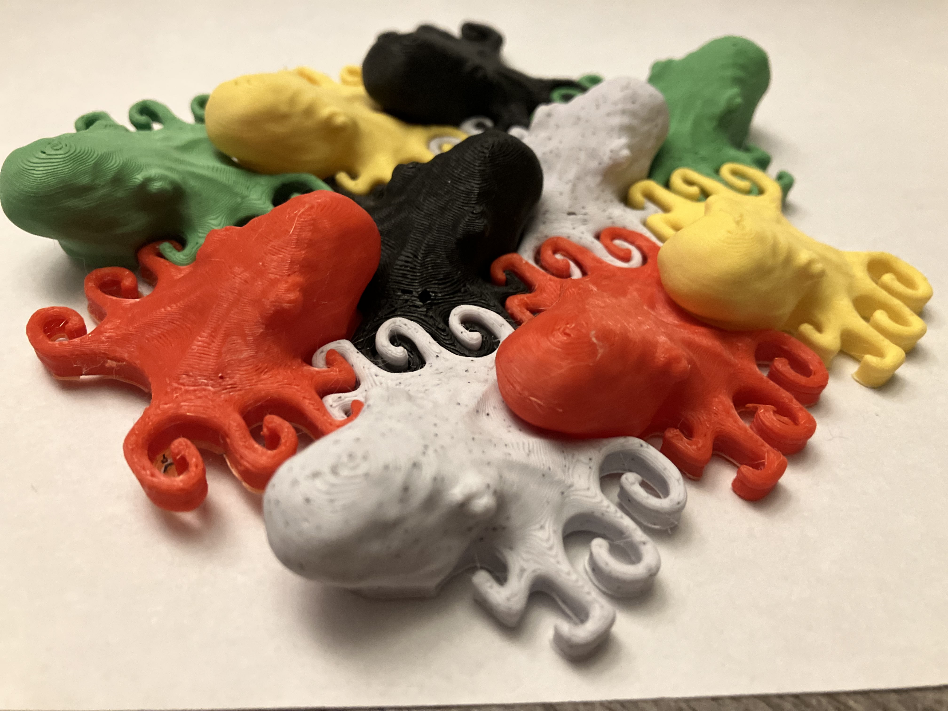 Puzzled Octopus