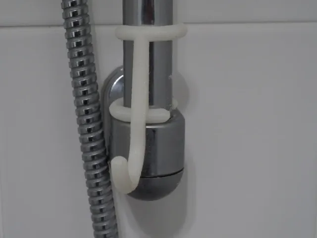 Shower hook