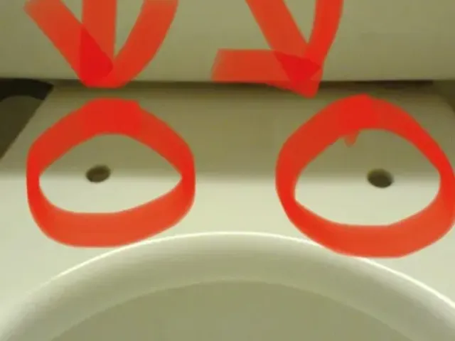 Bushing/spacer  Toilet seat Bolt down