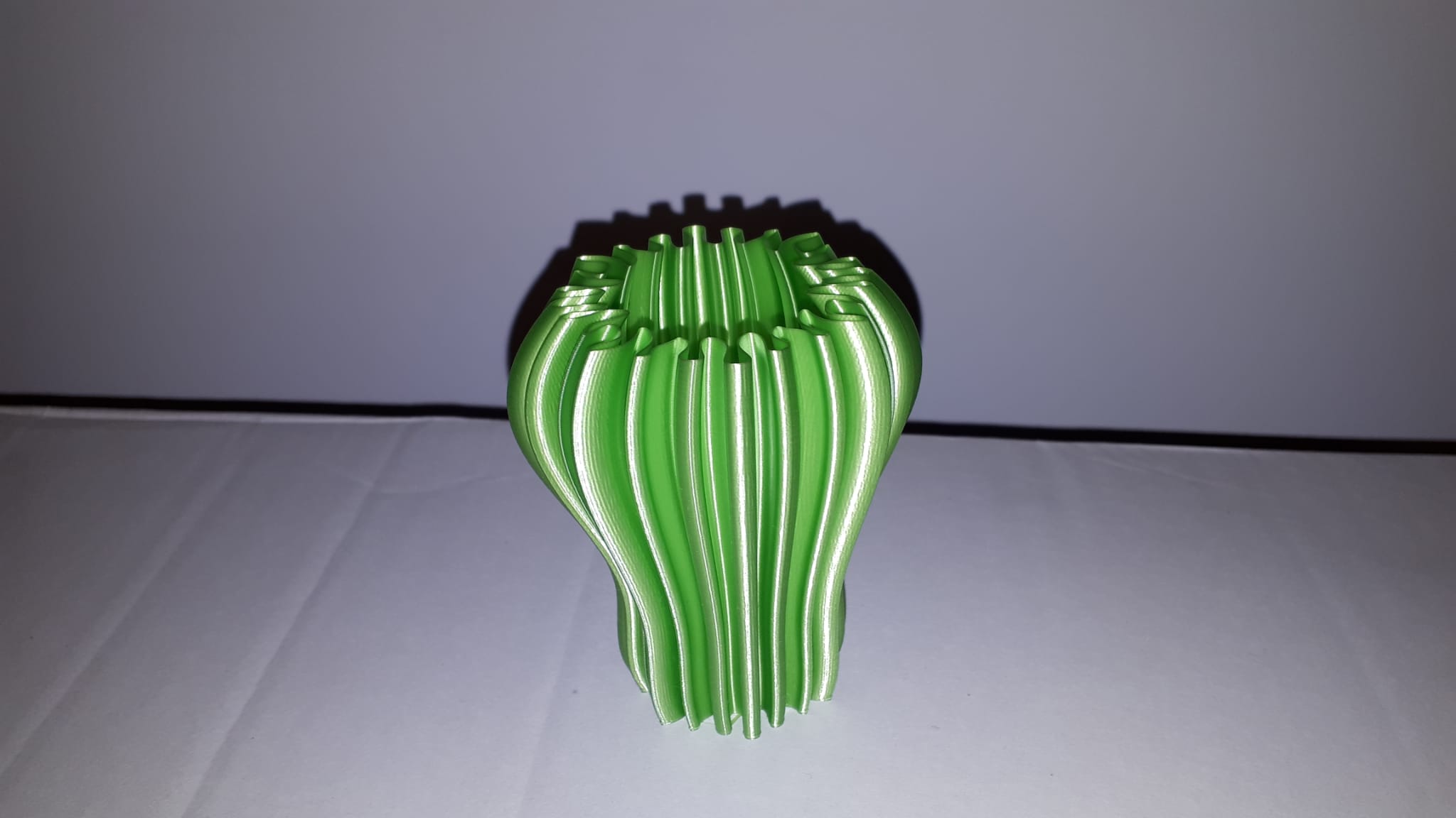 Miniatura 2 do modelo 3D Cactus type vase