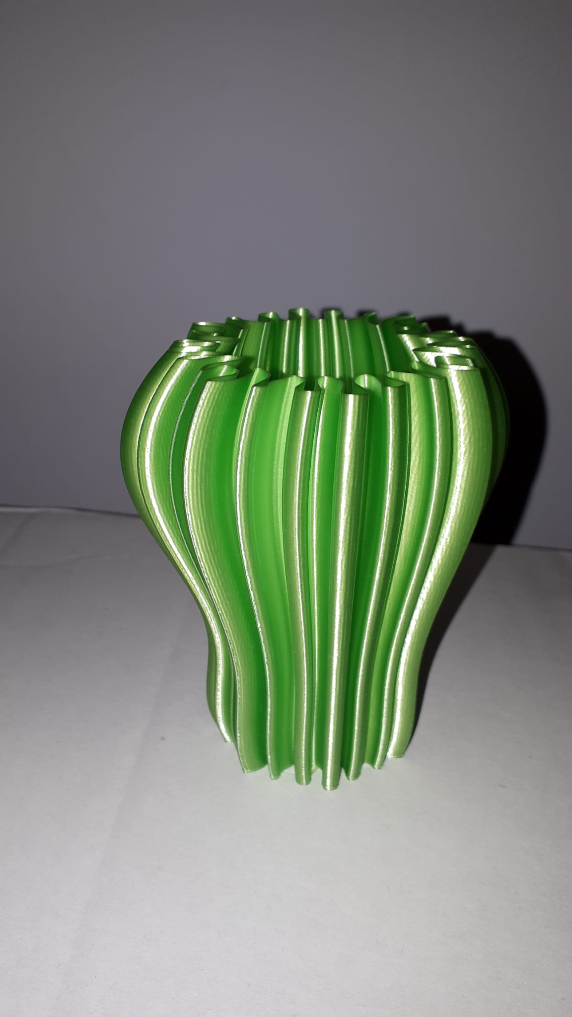 Cactus type vase
