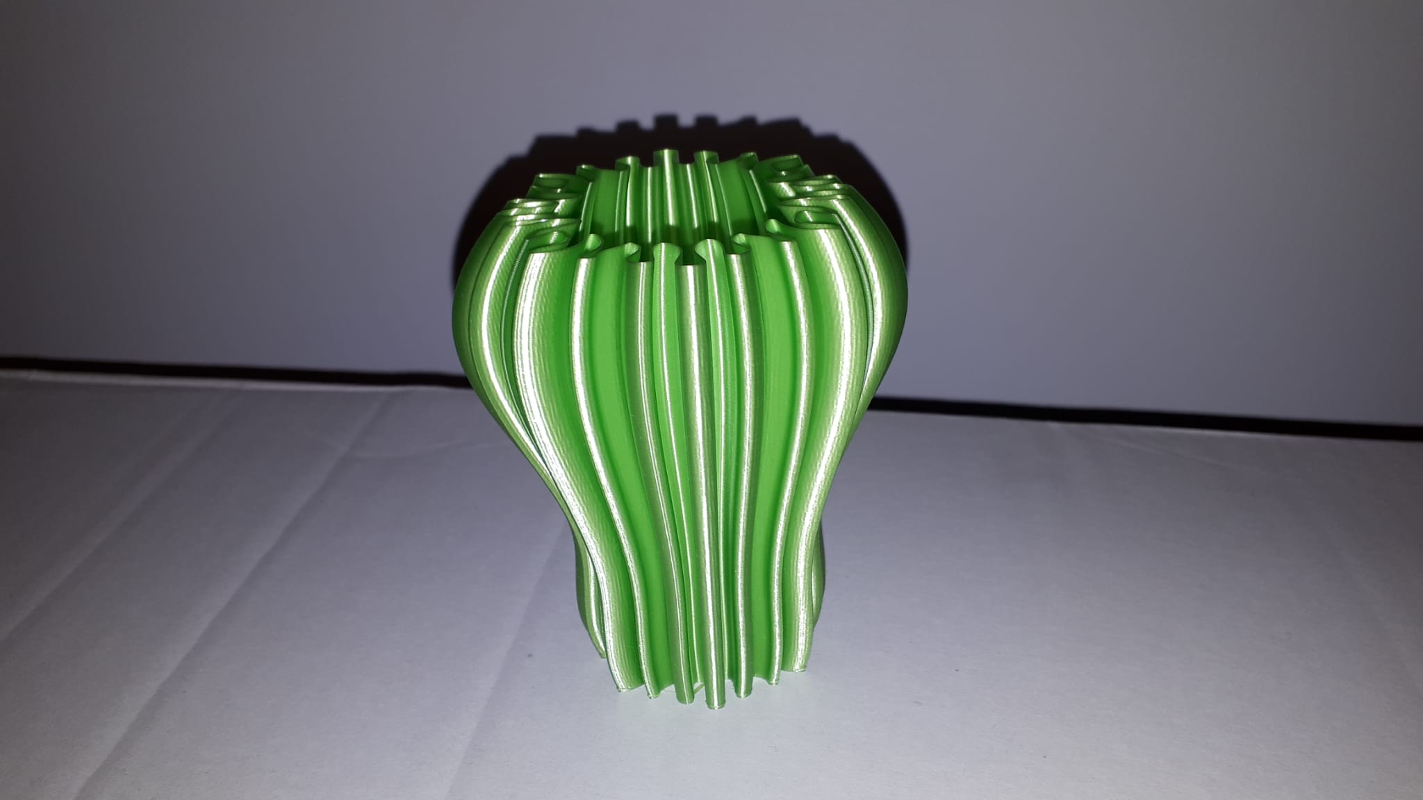 Miniatura 4 do modelo 3D Cactus type vase