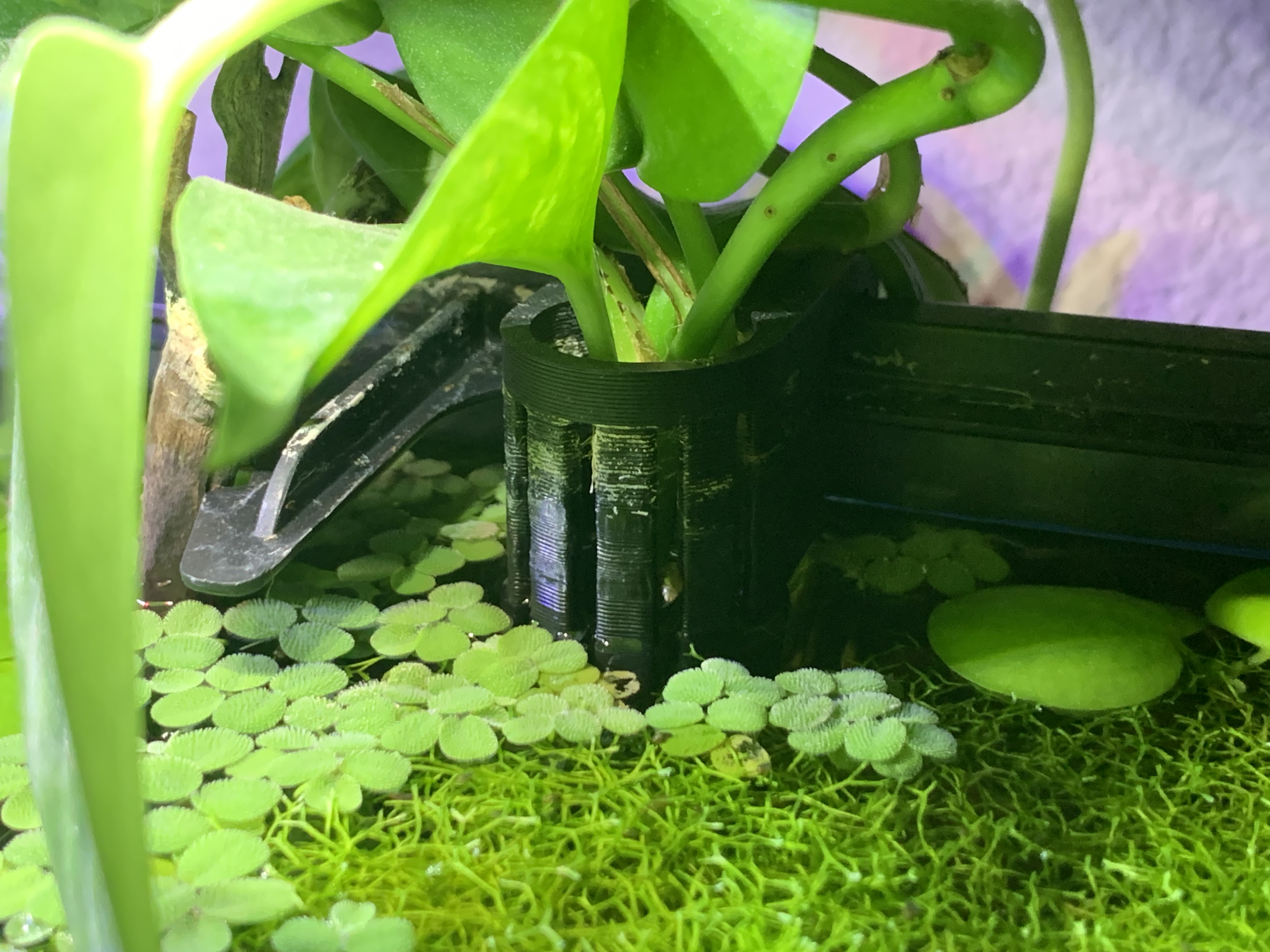 Aquarium Plant Hanger Basket by cfeldhaus Download free STL model