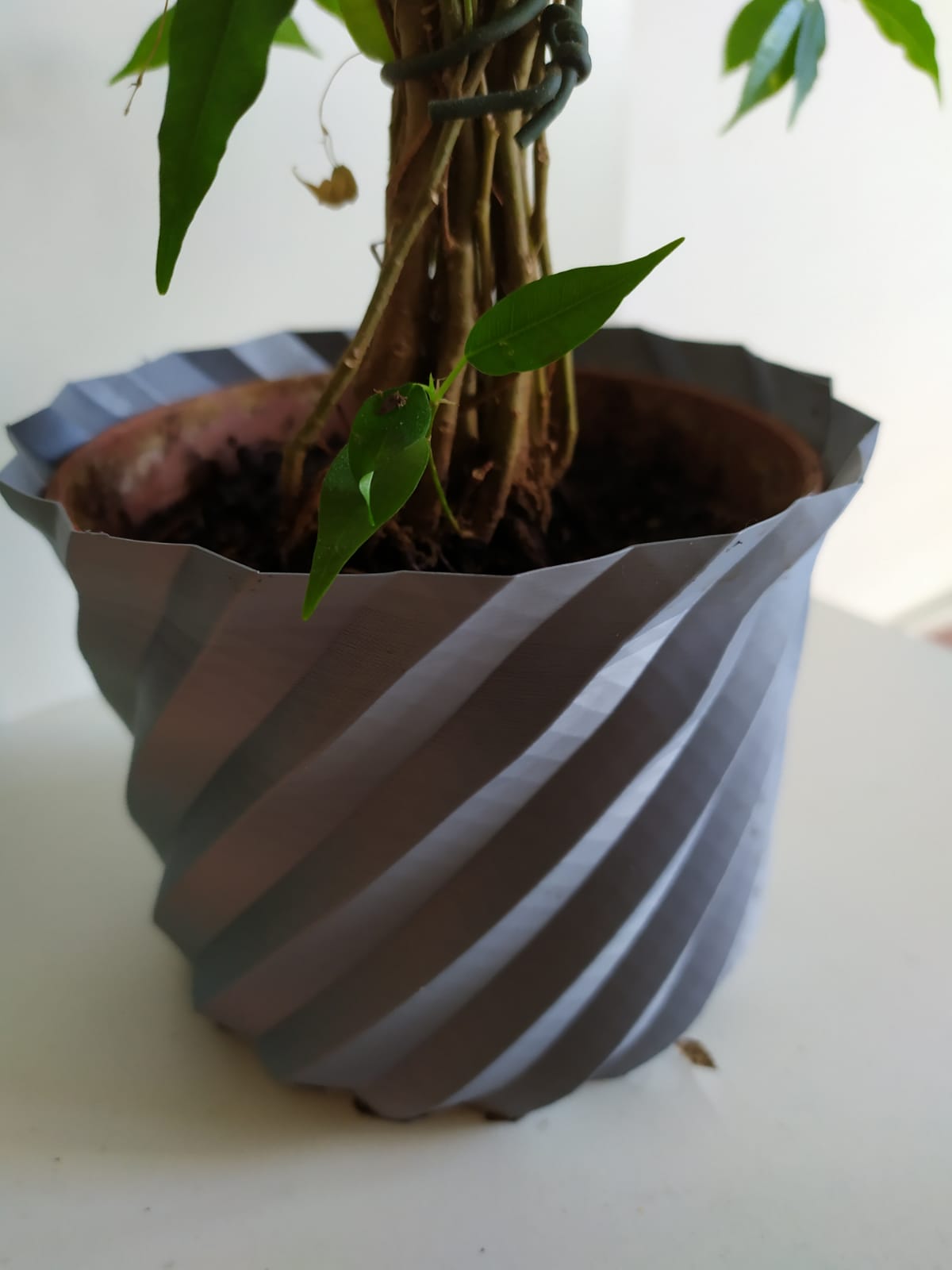 Spiralpot