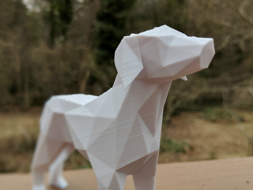 Miniatura 5 do modelo 3D Low Poly Dog