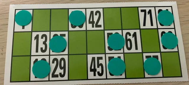 Bingo Chip