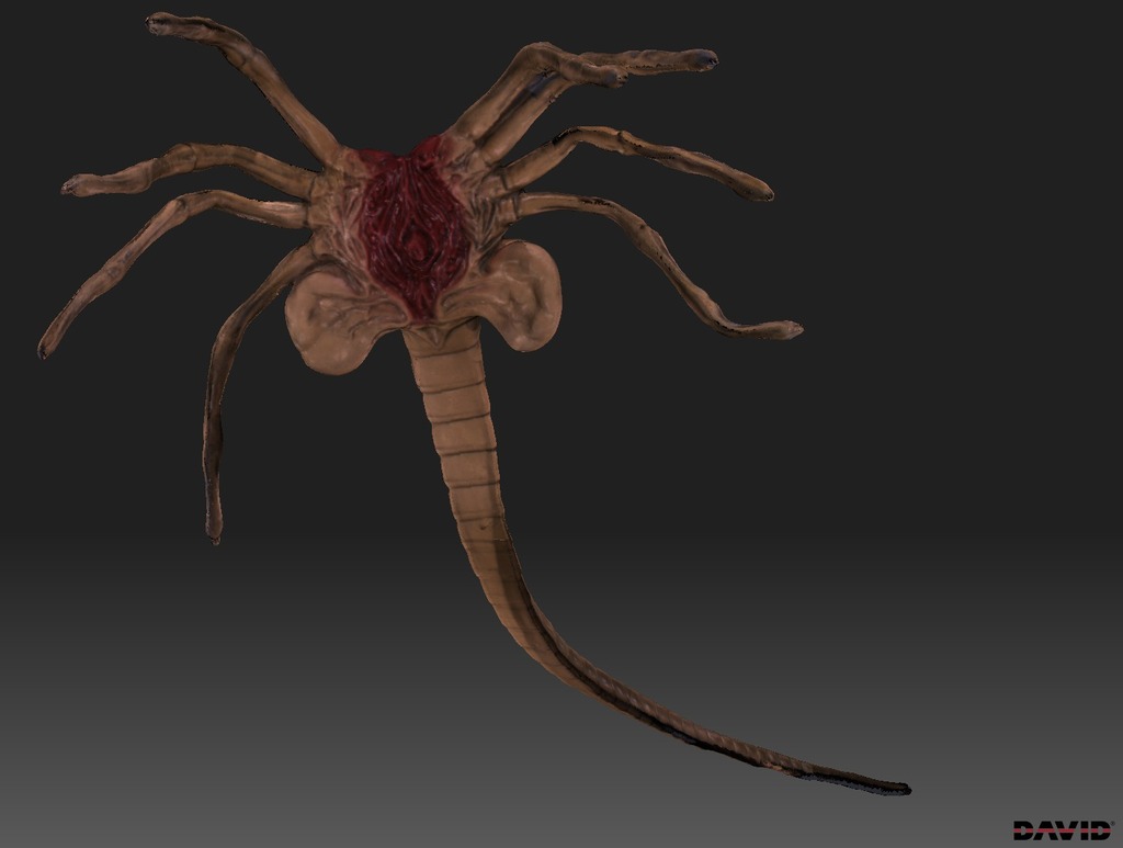 Facehugger by billyd Download free STL model