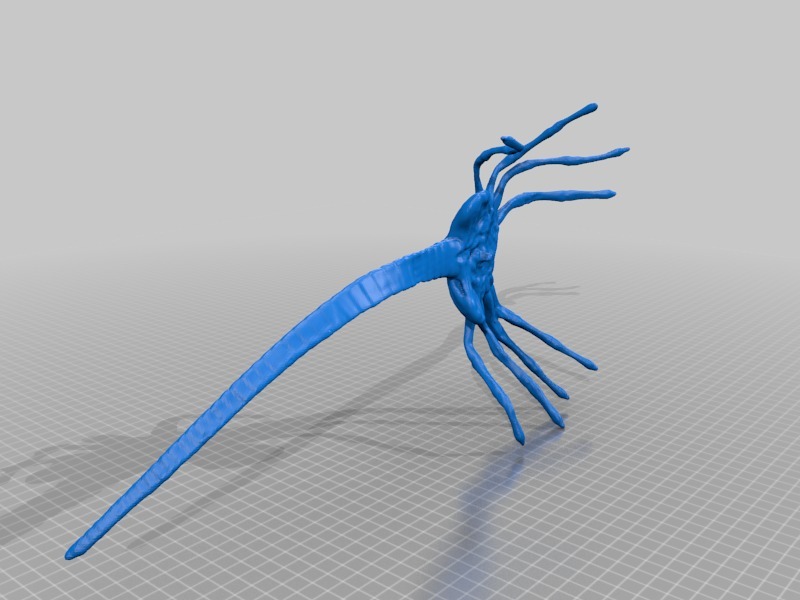 Miniatura 6 do modelo 3D Facehugger