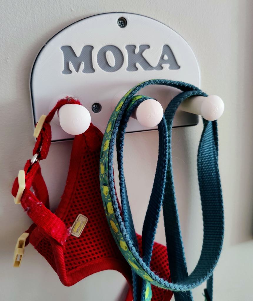 Dog Leash Hook