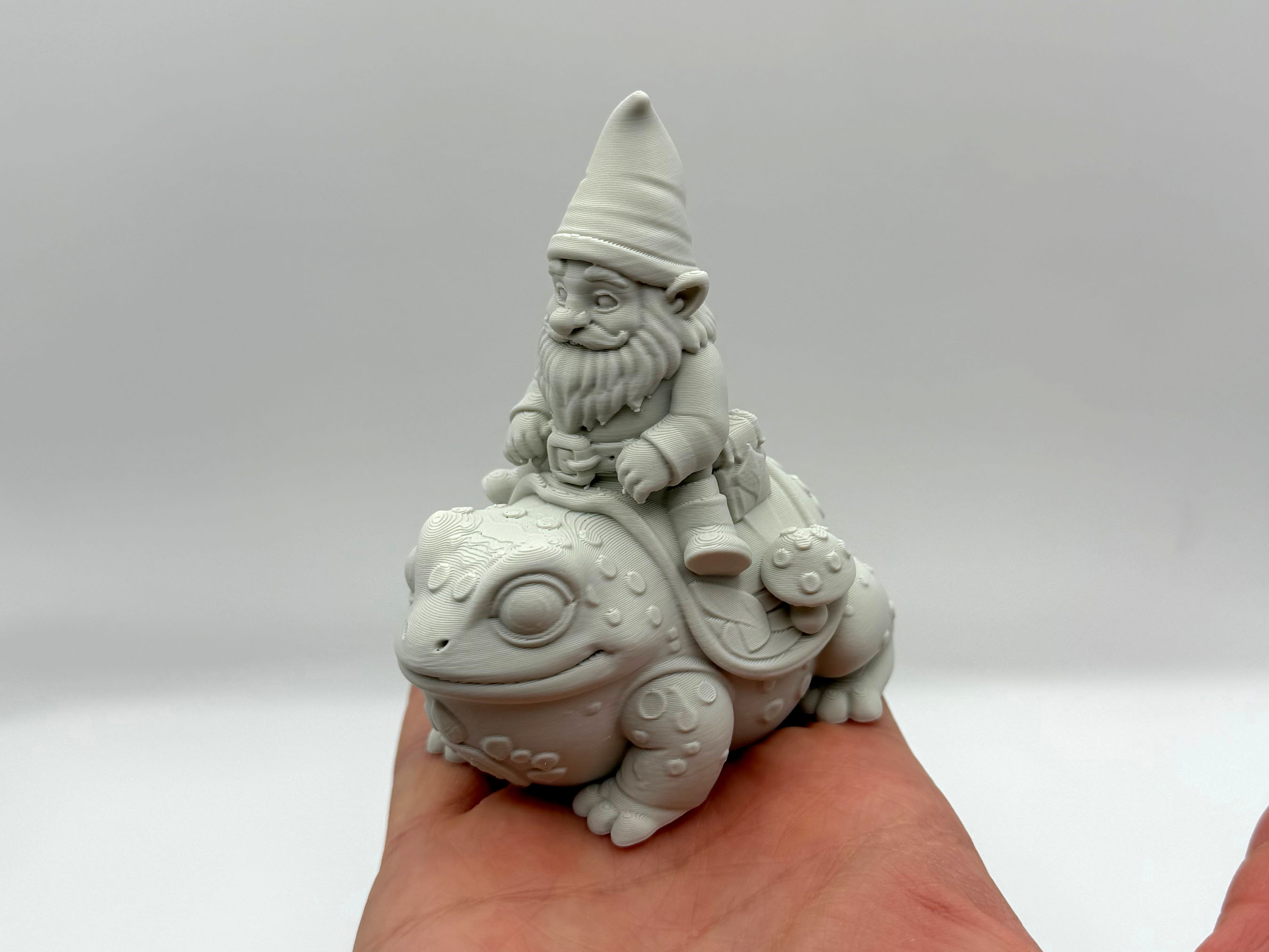 Toadrider Gnome