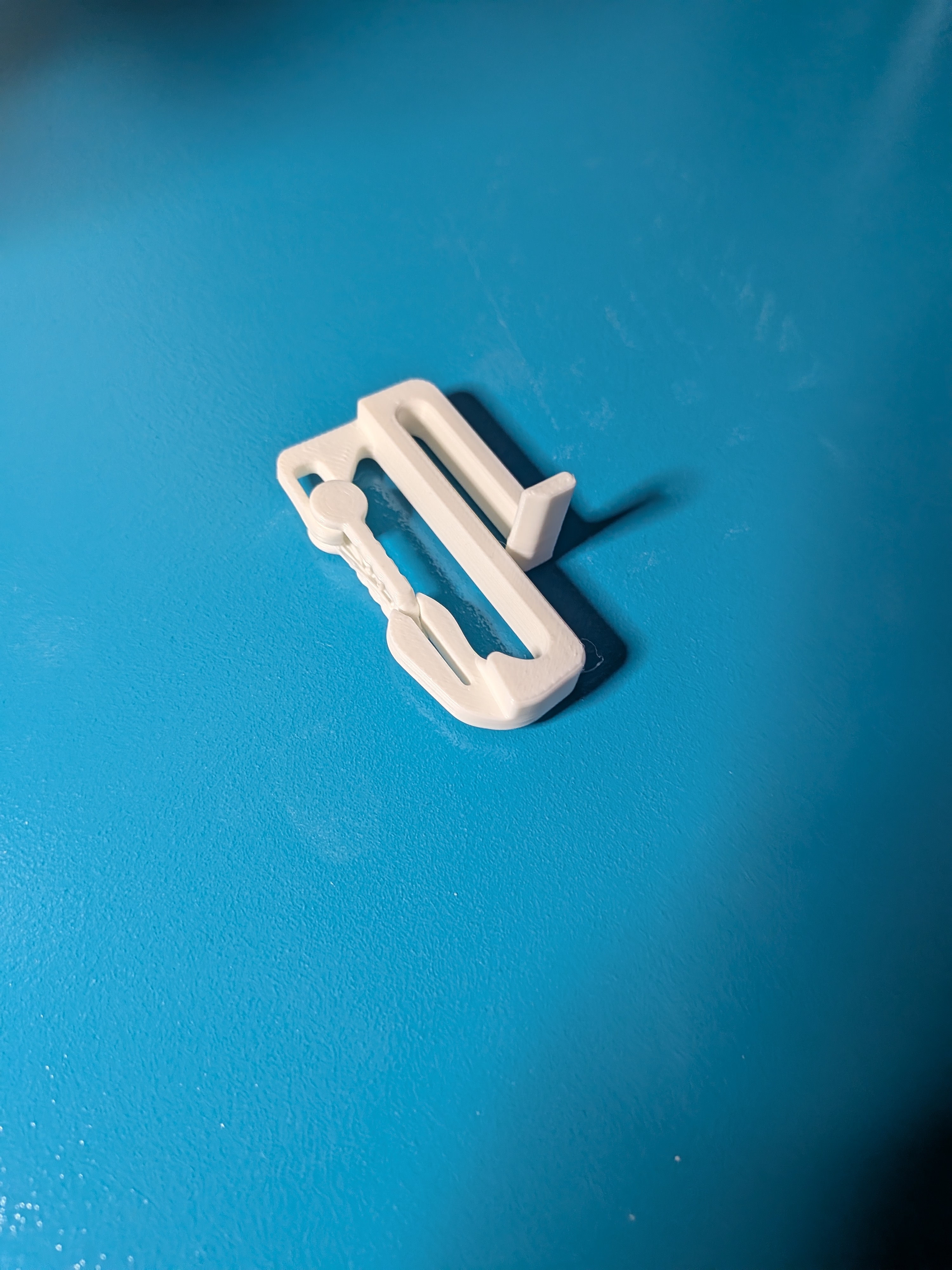 hook with locking latch