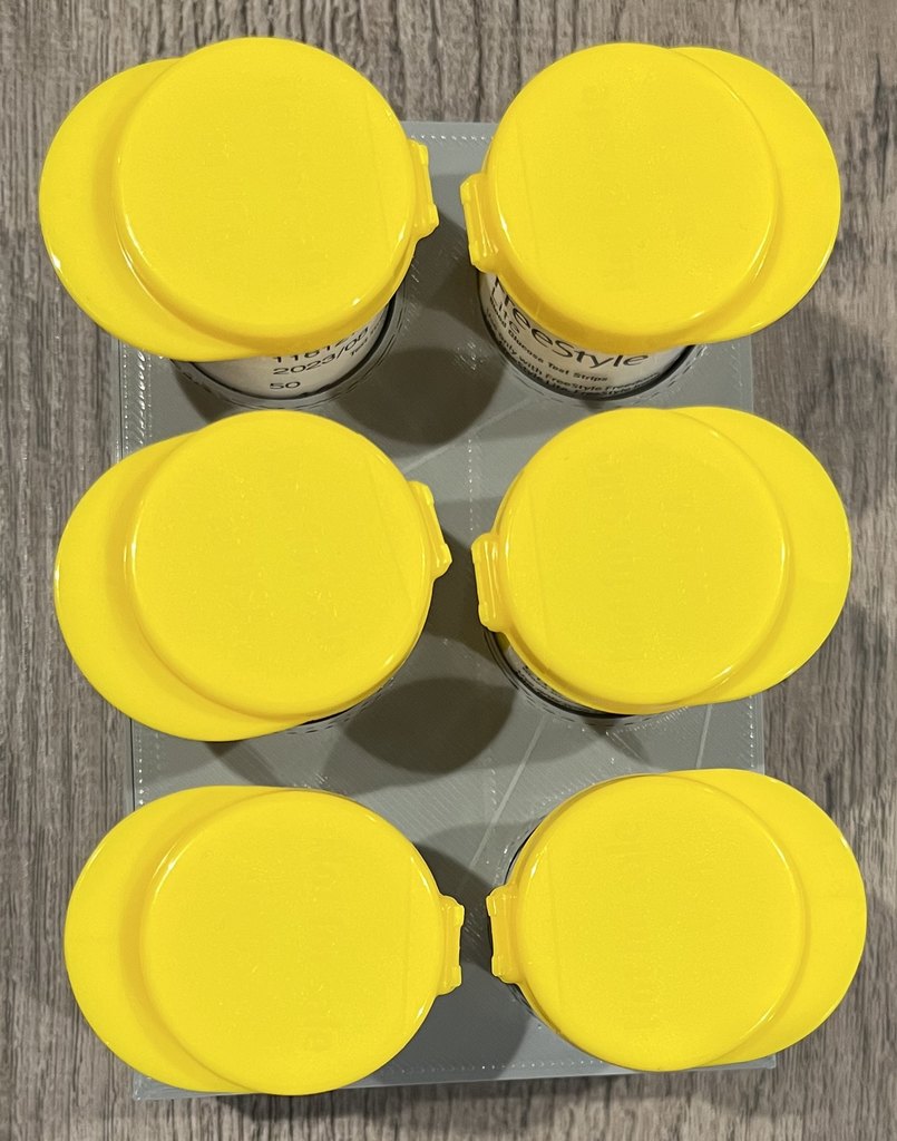 Freestyle Test Strip Vial Holder by sskaye Download free STL model