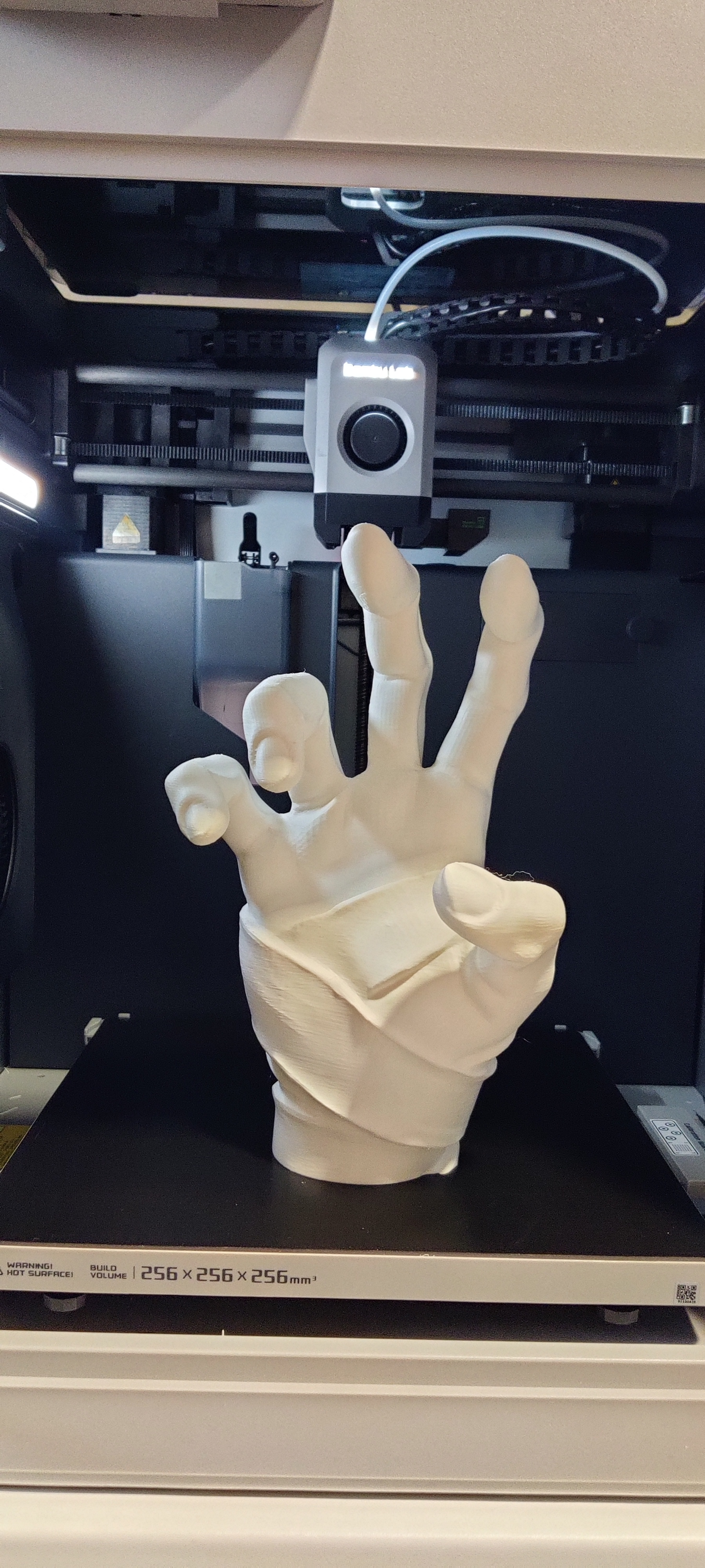 Mummy hand - Trailer ball cover
