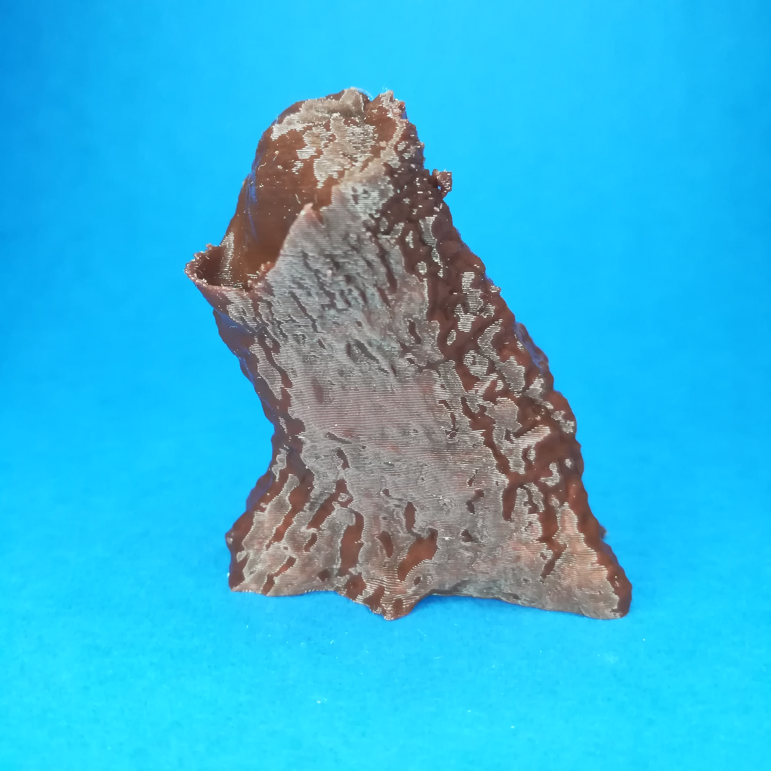 Tree trunk