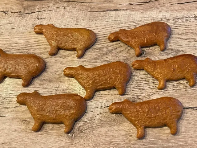 capybara cookie cutter